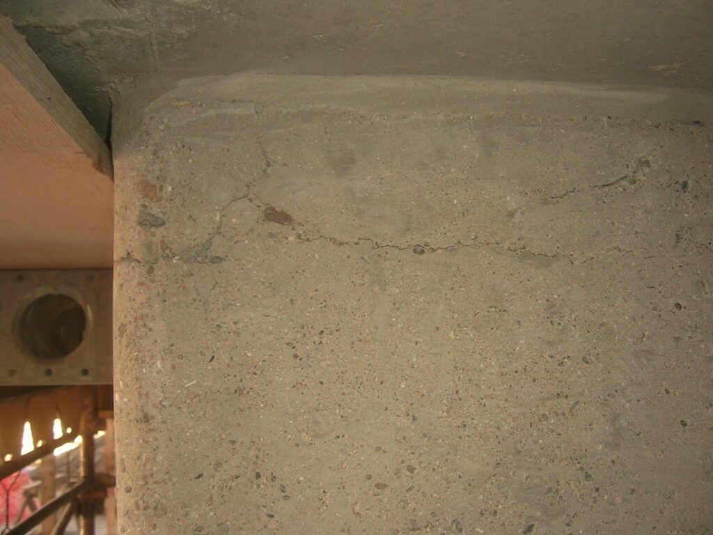 DSCN3435