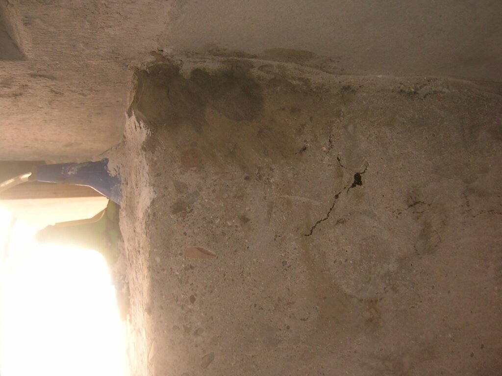 DSCN3446