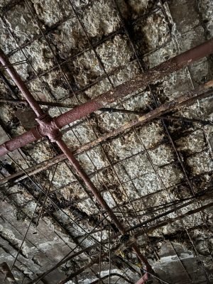 antes - IMG_2663