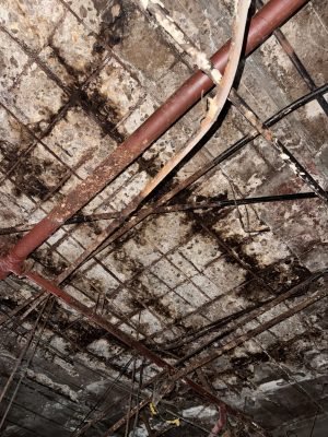 antes - IMG_2666